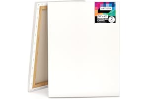 Artistik Blank Canvas - Stretched Canvas for Painting,100% Cotton Artist Quality Triple Primed Gesso Stretched Canvases Quality Art Paint Supply (Pack of 2-30" x 40")