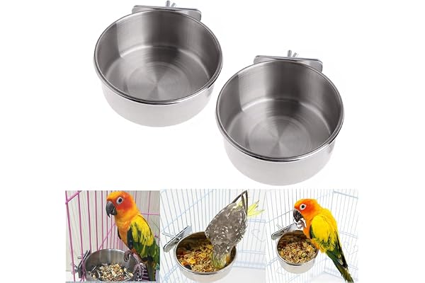 PIQIUQIU 2 Pièces Bol d'alimentation pour Oiseaux Mangeoire Perroquet en Acier Inoxydable, Bol d'alimentation, Cage Suspendue Tasse d'alimentation Oiseau Perroquet (10cm)