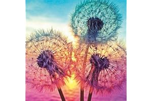 Kit per punto croce stampato, OWN4B tramonto e dente di leone colorato stampato modello 11 CT 36,1 x 36,1 cm Kit da ricamo fai da te (Dente di leone)