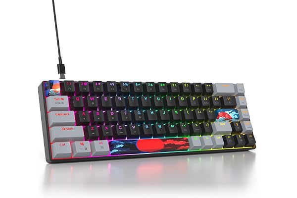 SOLIDEE Clavier de Jeu mécanique 65%,Clavier Filaire Compact rétroéclairé LED RVB 68 Touches avec câble USB Type-C détachable,Clavier de Bureau avec Interrupteur Rouge linéaire pour Win/Mac(68 Dark)