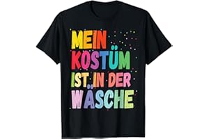 KARNEVAL FASCHING KÖLN GRUPPENKOSTÜM 2025 Karneval Kostüm Mein Kostüm ist in der Wäsche T-Shirt