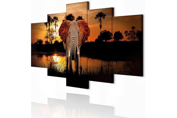 decomonkey - Impression sur Toile elephant Animau 150x75 5 Pièces - Tableau Décoration Appartement Déco Salon Afrique lac nature palmiers paysage éléphants coucher de soleil animaux