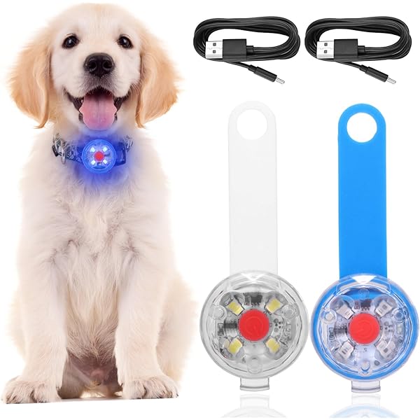 Forhome Lot De 3 Sacs D'écolier à LED Clignotants - Petit Clip Lumineux