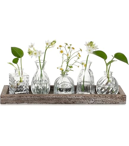Glasseam Paddenstoelbloem Vaas, Kleine Vazen voor Bloemen Set Van 5, Chic Gekleurde Glazen Vazen voor Tafeldecoratie Decor, Plant Terrarium Leuke Vaas