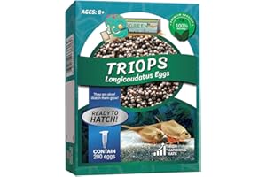 GREEN WATER FARM Triops Longicaudatus Eier zum Schlüpfen, geeignet als Haustier und ideal für naturwissenschaftliches Projekt (Pure 200 Eier)