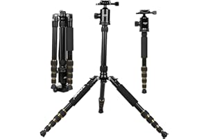 Treppiede per fotocamera da viaggio in lega di alluminio magnesio ZOMEI Z699 con testa a sfera per Canon, Sony, DSLR