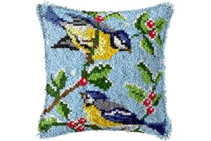 ZUHK DIY Latch Hook Kits,3D Pillow Materials Package Latch Hook Embroidery Kits Cross Stitch Sofa Cushion Cover with Latch Hook Tool fit for Kids and Adults,43x43 cm (Bird B)