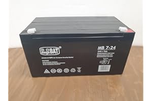 INDALCHESS BATERIA 24V PARA COCHES ELECTRICOS INFANTILES (7Ah)