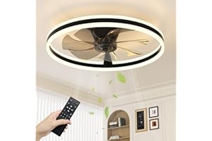 NIORSUN Ceiling Fans with Lights and Remote, 60cm Modern Smart LED Ceiling Fan Light, 6 Speeds and 3000K-6500K Dimmable Quiet Fan Lights Ceiling for Bedroom Living Room Dining Room (Black)