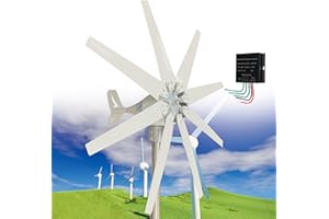 Fablestoryem Générateur d'éolienne 14000W, Générateur d'éolienne à 8 Pales 12V/24V/48V/110V/220V Générateur à Aimant Permanent Triphasé AC, avec Contrôleur, Petit Générateur d'éolienne Domestique,12V