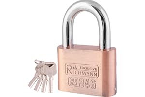 RICHMANN Kłódka z hartowanej stali, zamek do piwnicy, zamek pałąkowy z 4 kluczami (60 mm)