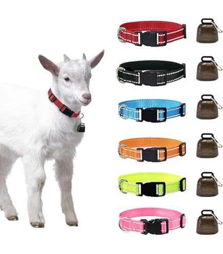 SGERUFZ 6 Stück Glockenanhänger - Kupfer Glocken Für Hunde & Katzen Halsbänder