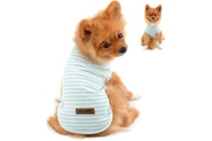 PAIDEFUL Vêtements pour Petits Chiens Garçon Fille été rayé Chiot t-Shirt Gilet Respirant Coton t-Shirt sans Manches Chihuahua Yorkshire Vert XL