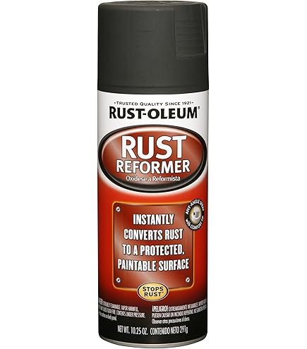 Rust-Oleum 248927 Wheel Spray Paint, 325ml (Silver) : Amazon.in
