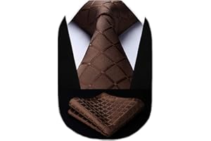 HISDERN Krawatte für Herren, florale Krawatte und Einstecktuch klassisches Herren-Krawattenset aus Seide für Hochzeit Party Geschäft