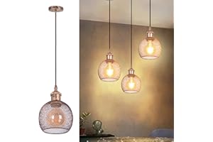 TWSXTE E27 Lampada a sospensione vintage, plafoniera industriale retrò, lampadario a gabbia in stile vintage, illuminazione interna, decorazione corda regolabile