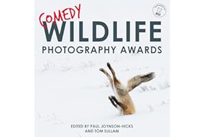 Comedy Wildlife Photography Awards: the hilarious Christmas treat