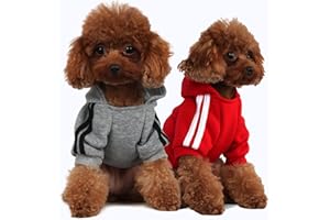 PenghaiYunfei Felpa con Cappuccio per Cani alla Moda Abbigliamento per Cani Felpa in Cotone Streetwear Vestito alla Moda per Cani Gatti Cucciolo Piccolo Medio Grande (Grigio/Rosso, M)