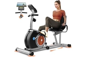 NEEZEE Bicicleta Estática Magnética Para Casa Con 16 Niveles De Resistencia, Monitor Digital LCD, Asiento Cómodo Ajustable Bicicletas Reclinadas Ergonómicas Para Adultos Mayores Ciclismo Fitness