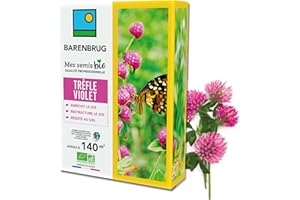 BARENBRUG - Trèfle violet BIO - Enrichit le Sol - Restructure le Sol - Résiste au Gel - Restitue les Éléments Nutritifs aux Futures Cultures - Fabriqué en France - 500G