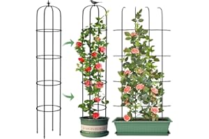 LATERN 1 Pièce Treillis Obélisque de Jardin pour Plantes Grimpantes, 180CM Haut Support Tuteur en Métal Antirouille Cadre de Treillis pour Pots Plante Rosier Tomate Concombre Fleurs Raisin Pois