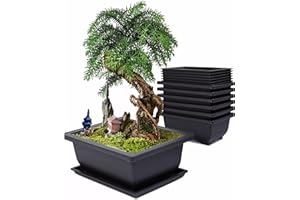 Alleshelfer Bonsai Schale, Bonsaischalen, 6 Stück Wiederverwendbar Bonsaischale mit Tabletts, Kunststoff Bonsai Töpfe Pot Blumenpot für Gärten, Wohnzimmer, Fensterbänken (12cm quadratischer Becken)