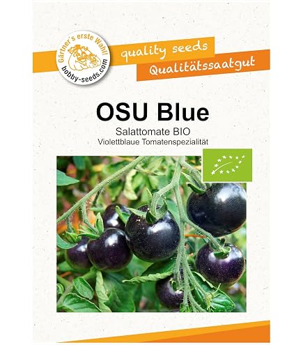 BIO-Tomatensamen 'Indigo Blue Berries' – Kirschtomate Rot-violett, 12 Korn Pro Portion, Frühe Sorte
