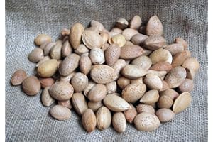 Naturix24 – Bläckfiskmandlar, mandlar med skål – 500 g påse