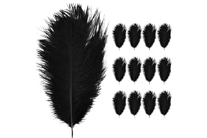 Anseom 12 Pièces Plumes d'Autruche Naturelles 20-25 cm pour Mariage, Couture, Artisanat, Costumes, Fête à Thème, Décoration de Noël (Noir)