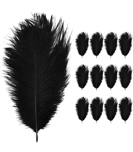 RISF Lot 200 Plumes Noires - 100 Grandes 14-22cm + 100 Petites 6-12cm Pour Décoration, Attrape-Rêves, Bricolage & Mariage