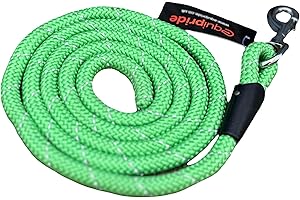 EQUIPRIDE Horse lead rope for Headcollar Reflective Length 2 meters 7 Amazing Colours (Green)