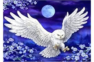 AIRDEA Hibou Diamond Painting pour Adultes Enfants,5D DIY Diamant Painting Kit Complet,Diamond Painting Animal Point de Croix Diamant Peinture, Clair de Lune Diamond Painting Kits pour Maison 30x40cm
