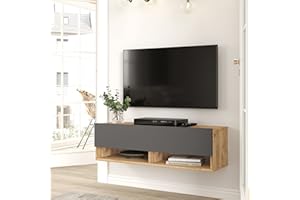 [en.casa] Consolle da Parete (AxLxP) 29,5 x 100 x 31,5 cm con Anta e Scomparti Armadio a Muro con Apertura a Ribalta Mobile Porta TV - Rovere Rustico/Antracite