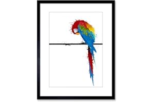 Wee Blue Coo Dt Paint Splat Parrot + Photo Framed Wall Art Print