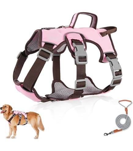Huntboo Ontsnapbestendig Hondentuig Medium, Anti-Trek Hondentuig met Handvat, Ademend, Verstelbaar, Reflecterende, Lichtgewicht Hondentuig voor Kleine en Grote Honden Buiten (Paars,S