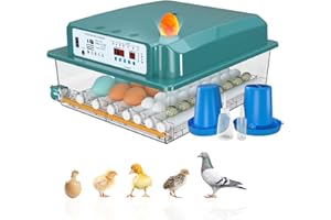 TDUAOLGX Brutmaschine Vollautomatisch Hühner Brutautomat Vollautomatisch Hühner, 24-36 Eier Inkubator Vollautomatische Brutmaschine mit Feuchtigkeitsüberwachung und Automatischer Eierrotation