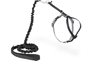 PetSafe Come with Me Kitty Geschirr und Bungee-Leine, Geschirr für Katzen, Größe M, Schwarz/Silber