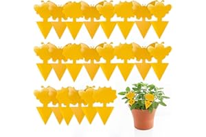 Kolamom 24pcs Anti Mouche, Anti Moucherons Interieur, Plug-in Pièges à Insectes, Double-Face Pièges Engluées Protection des Plantes Fleur Fruits