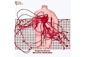 Electronic Meditation