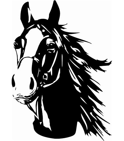 Wir Sehen Uns In Walhalla Aufkleber - 100x40cm Weiß Für Auto & Motorrad