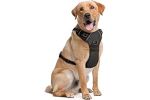 Arnés para Perros Grandes - Extragrande, Negro - Arnés para Mascotas con diseño antitirones y Acolchado Suave para Correr y Hacer Senderismo - de EcoEarth