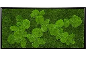 MOOS DESIGN Moosbild Pflanzenbild mit Kugelmoos und Flachmoos versch. Maße günstig (Schwarz, 110x55 cm)