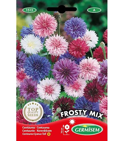Ringelblume Samen Französischer Zwerg Double Bonita Mix – Doppelblütig, Bunte Farben, Für Beete & Töpfe
