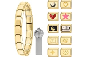 Paffartt Italian Charms Bracelet Sets for Man Woman Removable Classic Stainless Steel 9mm Module Links with Opening Tools Hand Painted for DIY Fashionable Jewelry Gifts