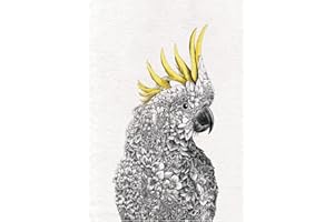 Maxwell & Williams Marini Ferlazzo Birds Strofinaccio da Cucina in Cotone Stampato con Cacatua Ciuffo Giallo, Colore Nero / Bianco, 50 x 70 cm