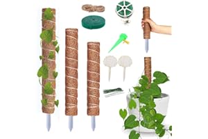 Antspertor Rankhilfe Zimmerpflanzen, 2-6 StüCk 30cm/40cm/50cm Moosstab Erweiterbar,Moosstab FüR Monstera,Rankhilfe Monstera Kann Auf Verschiedene HöHen GespleißT Werden (50cm 4er)