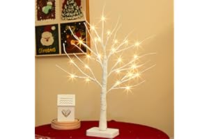 ‎DELICHTER DELICHTER Light Tree with 24 Warm White LEDs Birch Tree with Timer Function Decorative Branches Battery Operated Christmas Decoration for Home Party Christmas Easter Wedding 55 cm