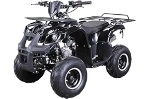 ‎ACTIONBIKES MOTORS Actionbikes Motors Quad ATV S-8 Farmer 125 cc | 4-Takt 125ccm Motor bis 𝟓𝟎 km/h - Pocket Quad - Miniquad - Benzinquad - Benzin Quads - Fahrzeug für Jugendliche (Schwarz)