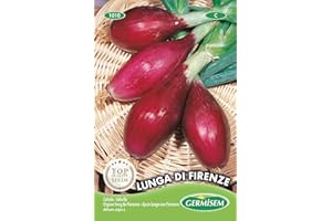 Germisem Lunga di Firenze Semillas de Cebolla 3 g