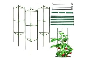 RUMSFEL Apoyo para Plantas, Robustos Postes de Soporte para Plantas, Jaula para Plantas de Tomate, Escalada Vegtables, Flowers, Fruit Grow Cage (Tres Grupos)